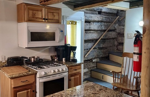 Detroit Cabina | Historic Log Cabin in the heart of Detroit