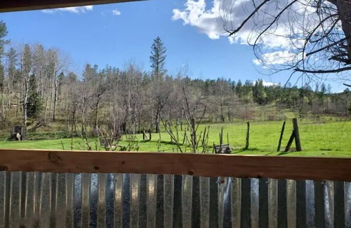 Rapid City Cabina | Historic studio cabin in the Hills