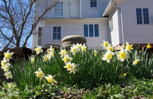 Gordonsville Casa | Historic Unique Antique Manor House Near Keswick and Charlottesville, Virginia.