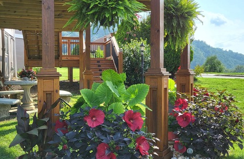 Fries Casa | Historic Victorian New River views w/easy New River Trail access