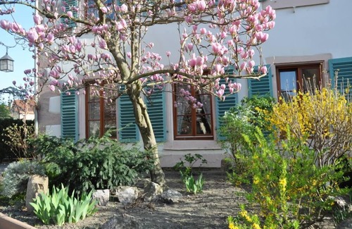 Old Town Apartamento | HISTORICAL CENTER, APARTMENT WITH GARDEN, PARKING outside Christmas market period