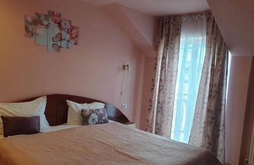 Cluj-Napoca City Centre Cama Y Desayuno | Historical