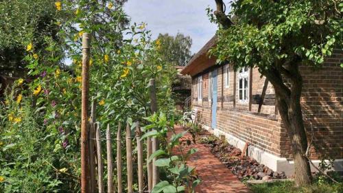 Bellin Casa | Historisches Reetdachhaus mit Bauwagen und großem Obstgarten