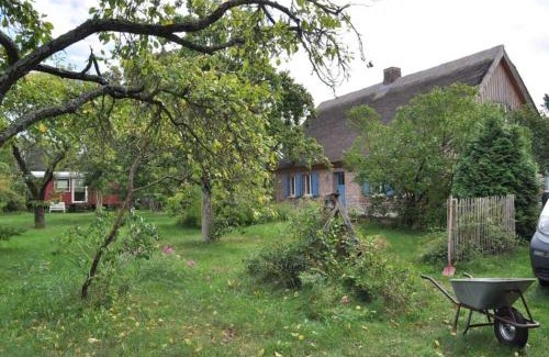 Bellin Casa | Historisches Reetdachhaus mit Bauwagen und großem Obstgarten