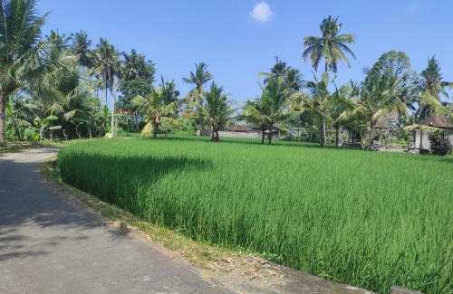 Mas Villa | Hitangkara Villa Ubud
