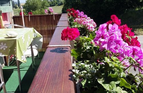 Murten Apartamento | Hof Oberprehl