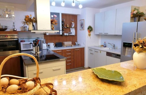Bayreuth Apartamento | Apartamento R2 400m al jardín del patio