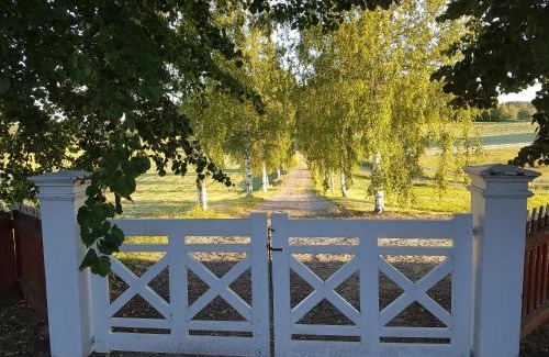 Halsingland Cama Y Desayuno | Hofra Bed & Breakfast