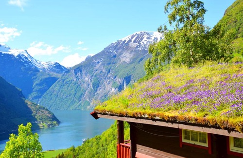 Geiranger Cabina | Hole Hytter