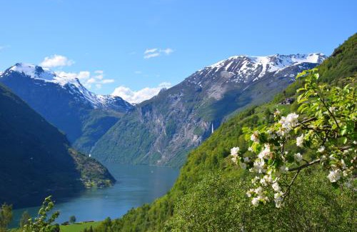 Geiranger Cabina | Hole Hytter