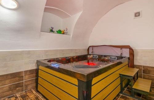 Olesnice v Orlickych horach Casa | Holiday Home IVA by Interhome