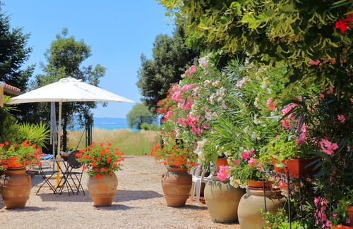 Passignano sul Trasimeno Apartamento | Apartamento de vacaciones en granja - Diospiro - Residenze San Martino