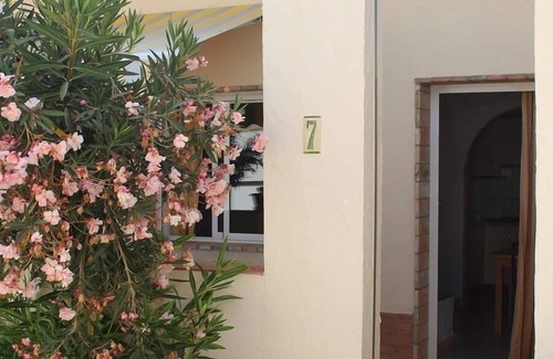 San Pedro del Pinatar Apartamento | Apartamento de vacaciones San Pedro del Pinatar para 4 personas con 1 dormitorio - Apartamento