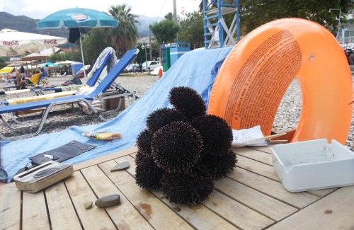 Rio Apartamento | Holiday and Business Home