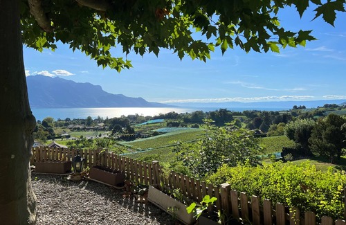 Montreux Apartamento | Apartamento de vacaciones Chailly-Montreux para 1 - 6 personas con 2 dormitorios - Apartamento en ca