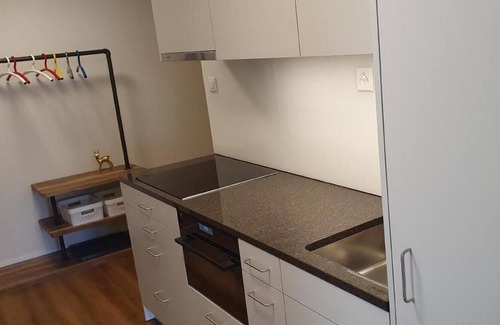Acletta Apartamento | Holiday apartment Disentis / Mustér for 5 - 6 persons with 2 bedrooms - Holiday apartment