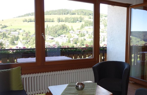Todtnauberg Apartamento | Apartamento vacacional '2, 45 m²' con vistas a la montaña, terraza comunitaria y Wi-Fi