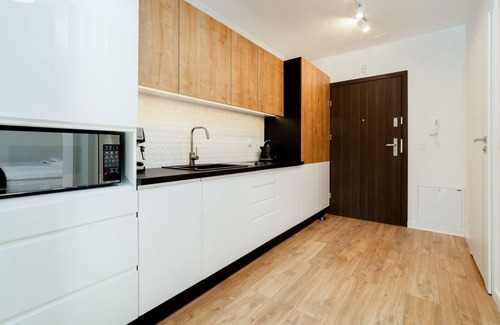 Bierutowice Apartamento | Holiday apartment/apt. for 4 guests with 35m² in Karpacz (245947)