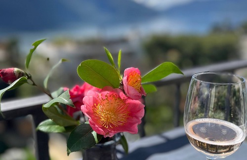 Ascona Apartamento | Apartamento de vacaciones Ascona para 1 - 4 personas con 2 dormitorios - Apartamento en casa unifami