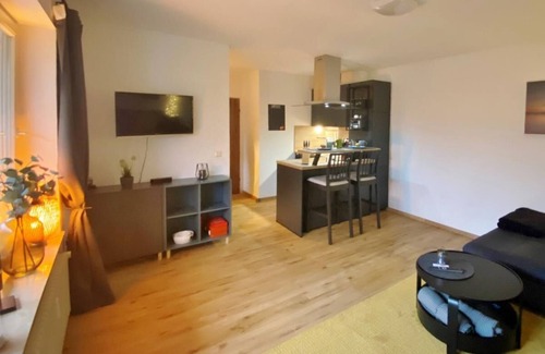 Schwalefeld Apartamento | Holiday apartment Aussen Pfui - Innen HUI