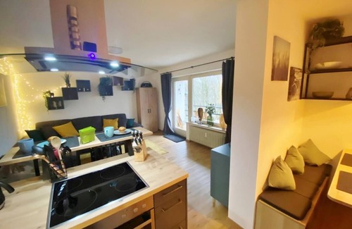 Schwalefeld Apartamento | Holiday apartment Aussen Pfui - Innen HUI