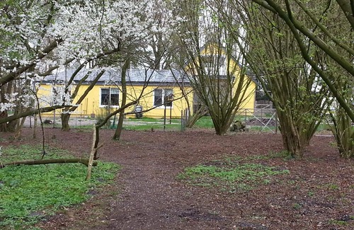 Geestland Casa | Apartamento de vacaciones Bad Bederkesa para 1 - 4 personas con 1 dormitorio - Casa de vacaciones