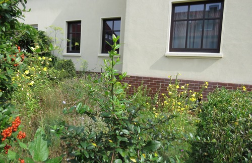 Dessau-Rosslau Apartamento | Apartamento de vacaciones - camino forestal