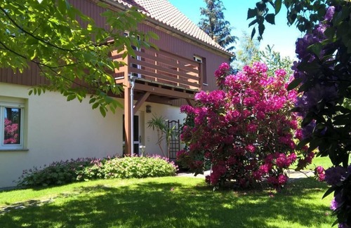 Buhlau/Weier Hirsch Apartamento | Apartamento de vacaciones Dresden para 1 - 2 personas - Apartamento