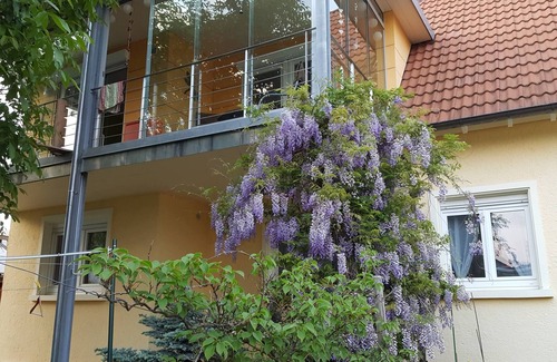 Steisslingen Apartamento | Apartamento vacacional 'Miezerle' con terraza privada, balcón y Wi-Fi