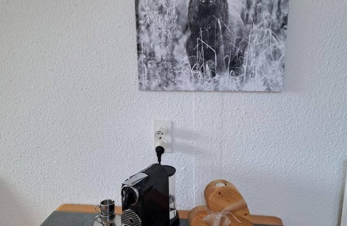 Samedan Apartamento | Apartamento de vacaciones Samedan para 1 - 2 personas con 1 dormitorio - Apartamento en casa unifami