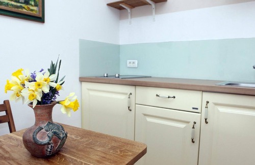 Kras Otro | Apartamento de vacaciones Stanjel para 1 - 4 personas - Castillo