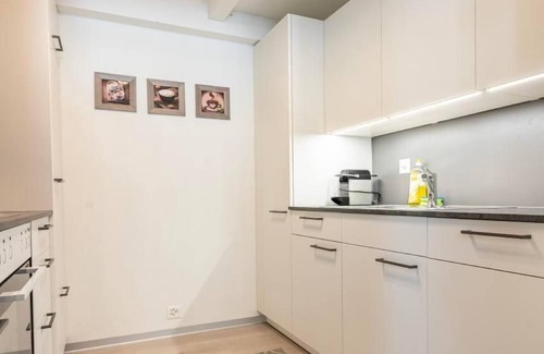 Central Interlaken Apartamento | Apartamento de vacaciones Unterseen para 1 - 4 personas con 1 dormitorio - Apartamento dúplex/triple