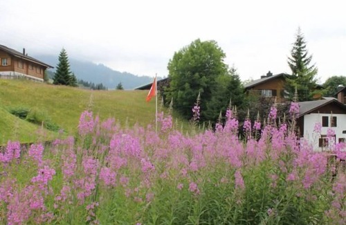 Wirzweli Chalet De Esquí | Apartamento de vacaciones Wirzweli para 1 - 3 personas con 1 dormitorio - Apartamento