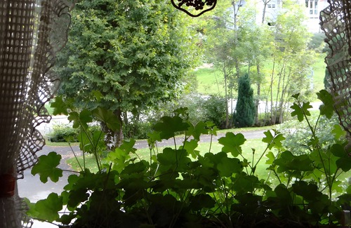 Gremmelsbach Apartamento | Holiday Apartment '2, 2 Bedrooms' with Shared Garden and Wi-Fi