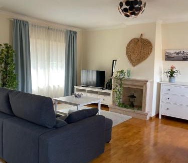 Espinho Apartamento | Holiday Flat Green Coast