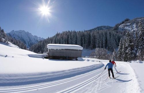 Burgstall Apartamento | Holiday flat near four ski lifts in Mayrhofen