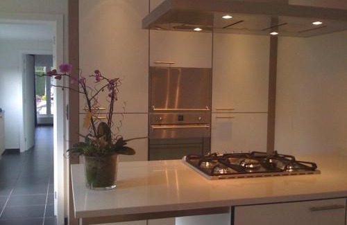 Wachtebeke Casa | Holiday Home and Office Domisi'l