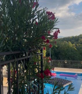 Gornja Glavina Villa | Holiday Home Calma