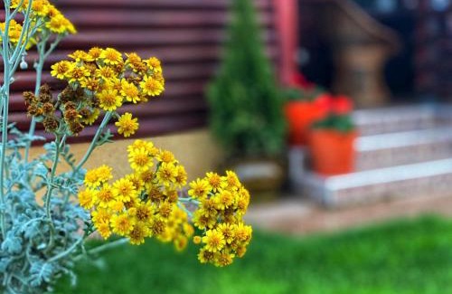 Jagodina Casa | Holiday Home Di More
