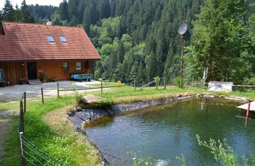 Wolfsberg Casa | Casa de vacaciones 'Ferienhaus Waldenstein 1' con vistas a la montaña, terraza privada y Wi-Fi