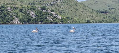 Karuc Casa | Holiday home Haustor with Skadar lake view