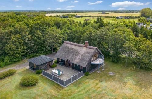 Skjern Casa | Holiday Home Hendrina - 250m to the inlet by Interhome