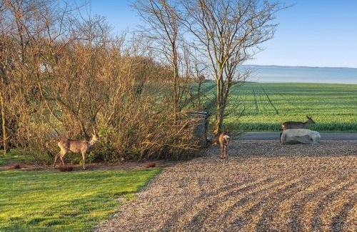 ster Assels Casa | Holiday Home Imilie - 250m to the inlet by Interhome