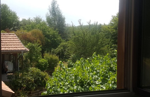 Tieffenbach Casa | Casa de vacaciones "La Colline aux Oiseaux" con terrazas y Wi-Fi