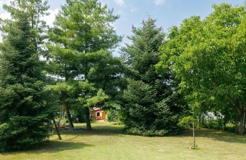 Latrany Casa | Holiday Home Magnolia by Interhome