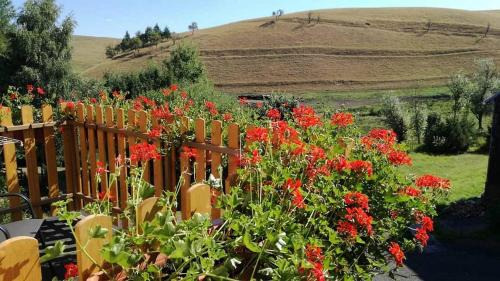 Moldava Casa | Holiday Home Moldava