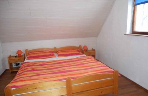 Nove Hamry Casa | Holiday home Nove Hamry - Erzgebirge 1646