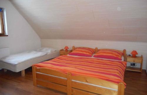 Nove Hamry Casa | Holiday home Nove Hamry - Erzgebirge 1646