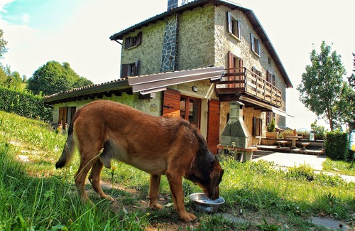 Zogno Chalet De Esquí | Pratolungo Casa de vacaciones