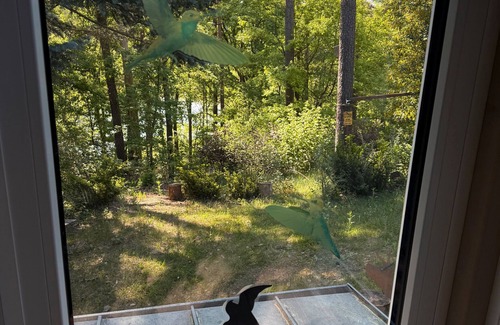 Schenkendobern Casa | Holiday Home 'Seeblick' with Lake View, Private Terrace and Private Garden